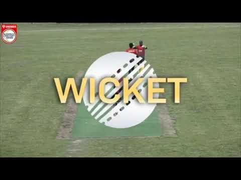 match-8-ssk-vs-mcc-highlights-dream11-european-cricket-series-botkyrka-stockholm-ecs-2020.Click to read full article.