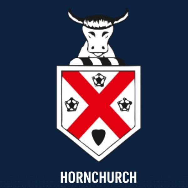 championship-week-match-11-hch-vs-for-highlights-ecl-2024-20-march-2024-ecl24109.Click to read full article.